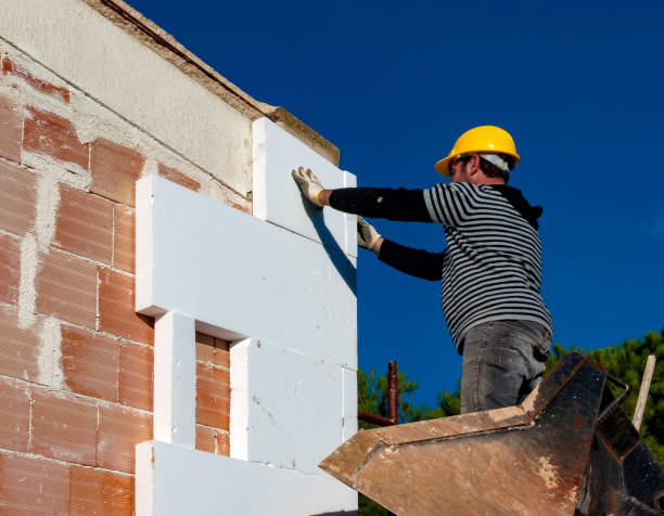 Best Insulation Repair Services  in San Juan, TX