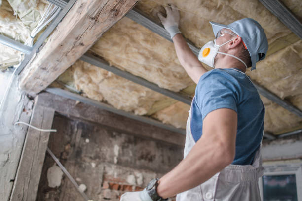 Best Insulation for New Construction  in San Juan, TX