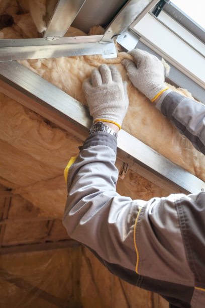 Best Residential Insulation Services  in San Juan, TX