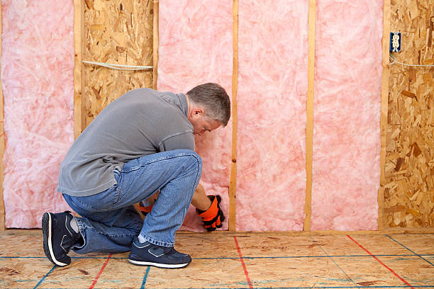 Best Fiberglass Insulation  in San Juan, TX